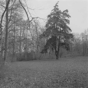Ehemaliger Gutspark