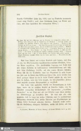 Zwölftes Kapitel