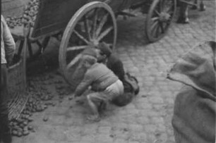 Stralsund? Leiterwagen eines Fuhrwerkes mit Kartoffeln. Bauer beim Entladen in Körbe und zwei Kinder beim Einsammeln wegrollender Kartoffeln