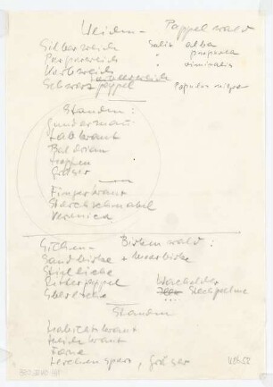 Grünflächen am Max-Planck-Gymnasium, Düsseldorf: Pflanzenliste