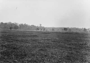 Landschaftsaufnahme : Landschaft bel Bálsamo mit Grasflächen und Bäumen im Hintergrund.