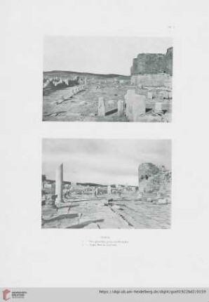 Planche I – XXIV