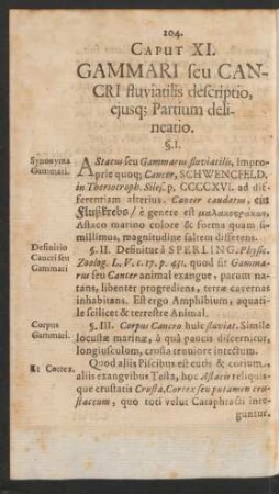 Caput XI. Gammari seu Cancri fluviatilis descriptio, eiusq[ue] Partium delineatio.