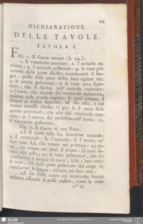 Dichiarazione Delle Tavole