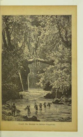 Urwald: Ein Waldthal im südlichen Kongobecken