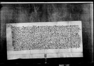 Gabriel Bender, Bürger zu Herrenberg, verkauft an seinen Mitbürger Heinrich Bäg drei Ohmen Weingült aus Weingärten zu Herrenberg um 72 lb. h.