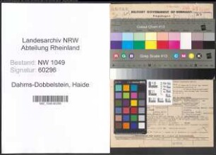 Entnazifizierung Haide Dahms-Dobbelstein , geb. 30.10.1911 (Dolmetscherin)