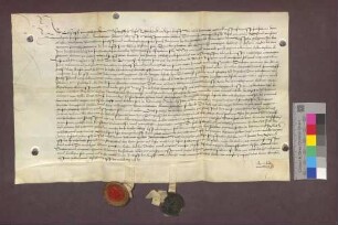 Der Basler Dompropst Rudolf von Hallwil vergleicht sich mit Pantaleon von Falchslanden über das Meiertum zu Tiengen.