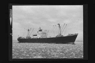Damaskus ex Belmonte ex Wulfsbrook (1954), Frachtschiff, Reeder Union AG, Kiel, Bau-Nr. 445