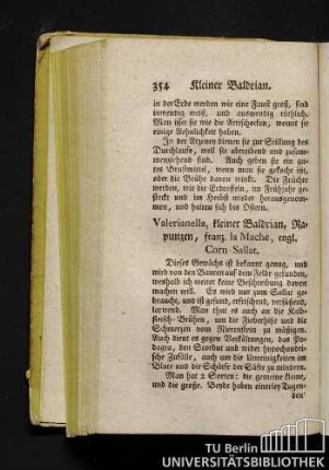 Valerianella, kleiner Baldrian, Rapunzen, franz. la Mache, engl. Corn-Sallat.