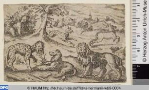 Zwei Löwen, Leopard, Bär, Luchs und Hirsch