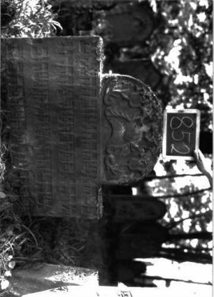Grabstein 852 (Index: 100102943) Material: Sandstein Zustand: angewittert, eingesunken Maße HxBxT: 91x93x11 cm Beschreibung: breitrechteckige Stele mit eingezogenem Rundbogenabschluss, im Bogenfeld Kelch (stilisierte Levitenkanne?), umrahmt von Blumen, das Schriftfeld wird von den Buchstaben gleichmäßig ausgefüllt, Wortabstände sind nicht immer eingehalten Symbolik: Levitenkanne ?, Blumen Besonderheit: siehe freie Kommentierung: Grabstein 852