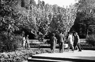 Freiburg: Blühende Bäume im Stadtgarten mit Publikum