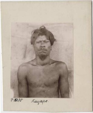 Kayapó-Indianer