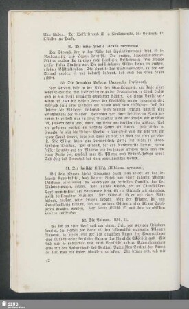 52. Die Palmen