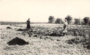 Feldarbeit bei Burk : Wobdźěłanje role w Bórku