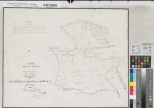 Groß Reken (Reken), Teilung der Großrekener Mark, Reinkarte Bl.14 Siepe