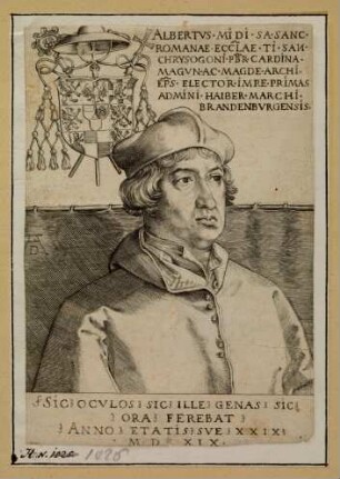 Kardinal Albrecht von Brandenburg (Der kleine Kardinal)