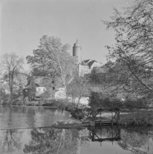 Bautzen vom Spreetal 3 Linden : Bautzen. Blick über die Spree zur Südseite der Neuen Wasserkunst