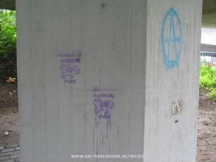 ANARCHO PUNX