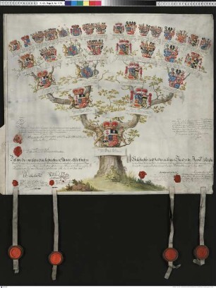 Hessen-Kassel, Wilhelm Prinz zu