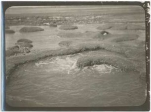 Aufsteigende Kohlen-Eisensäuerlinge in der Pampa von Polloqueri bei Pampa Aullagas