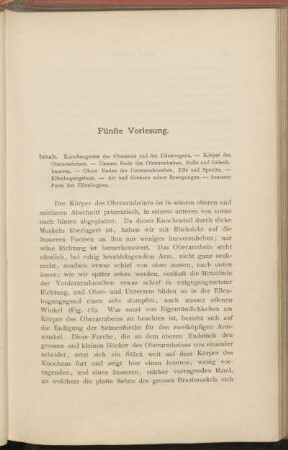 Fünfte Vorlesung.