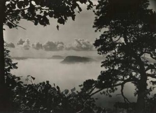 Sächsische Schweiz. Blick bei Talnebel vom Kleinen Bärenstein nach Südost