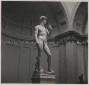 Florenz, Accademia delle Arti del Disegno (Galleria dellAccademia), Michelangelos David
