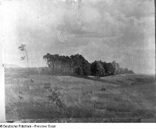 Das Teichwäldchen und das Trompeterwäldchen auf dem Heller : Das Teichwäldchen und das Trompeterwäldchen auf dem Heller. Öl auf Leinwand; um 1920