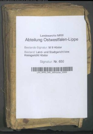 Beglaubigung der Heiraten unter den Juden.: Bd. 1