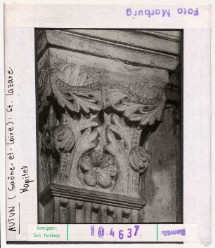 Autun: Kathedrale Saint-Lazare, Kapitell florales Motiv