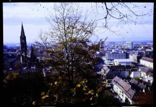 Freiburg: Schlossberg, Blick auf Münster, Karlshof [Karlsbau], Vordergrund Mitte Baum