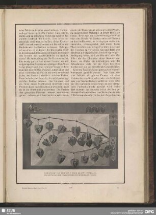 Naturstudie