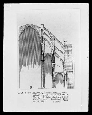 Bourges, Kathedrale Saint-Etienne, Querschnitt
