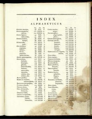 Index Alphabeticus.