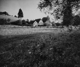 Archivfotografie "kraichgau_meckesheim_10261"