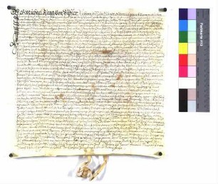 "Zinsverschreibung von Michael Riegg von Bühler" (Altrep. S. 194)