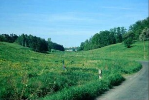 Ortszufahrtstraße, Blick zum Dorf, Grünland