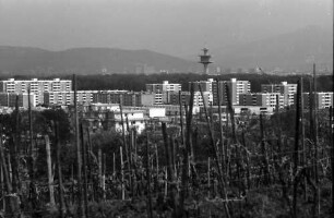 Freiburg, Lehen: Hochhäuser von Landwasser, Vordergrund Weinberg