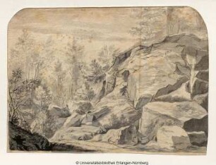 Waldlandschaft, nach rechts ansteigende Feldböschung