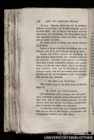 19. Zuker aus Kürbissen