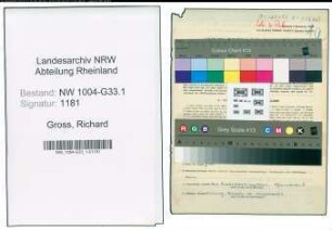 Entnazifizierung Richard Gross , geb. 23.05.1890 (Studienrat)