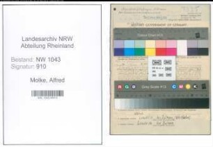 Entnazifizierung Alfred Molke , geb. 19.01.1880 (Studienrat)