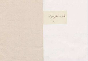 Nennung der Marquise de Puiguion, Anrede für Prinzessin von Thurn und Taxis von Karoline Luises Hand.