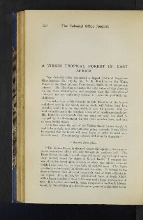 A virgin tropical Forest in East Africa