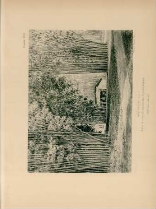 Buitenzorg (Java)