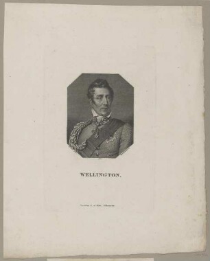 Bildnis des Arthur Wellington