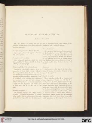 Report on Animal Mummies