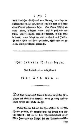 ¬Der¬ gemeine Tulpenbaum : (lat. Liriodendron tulipifera) ; Taf. XXXI, Fig. 1